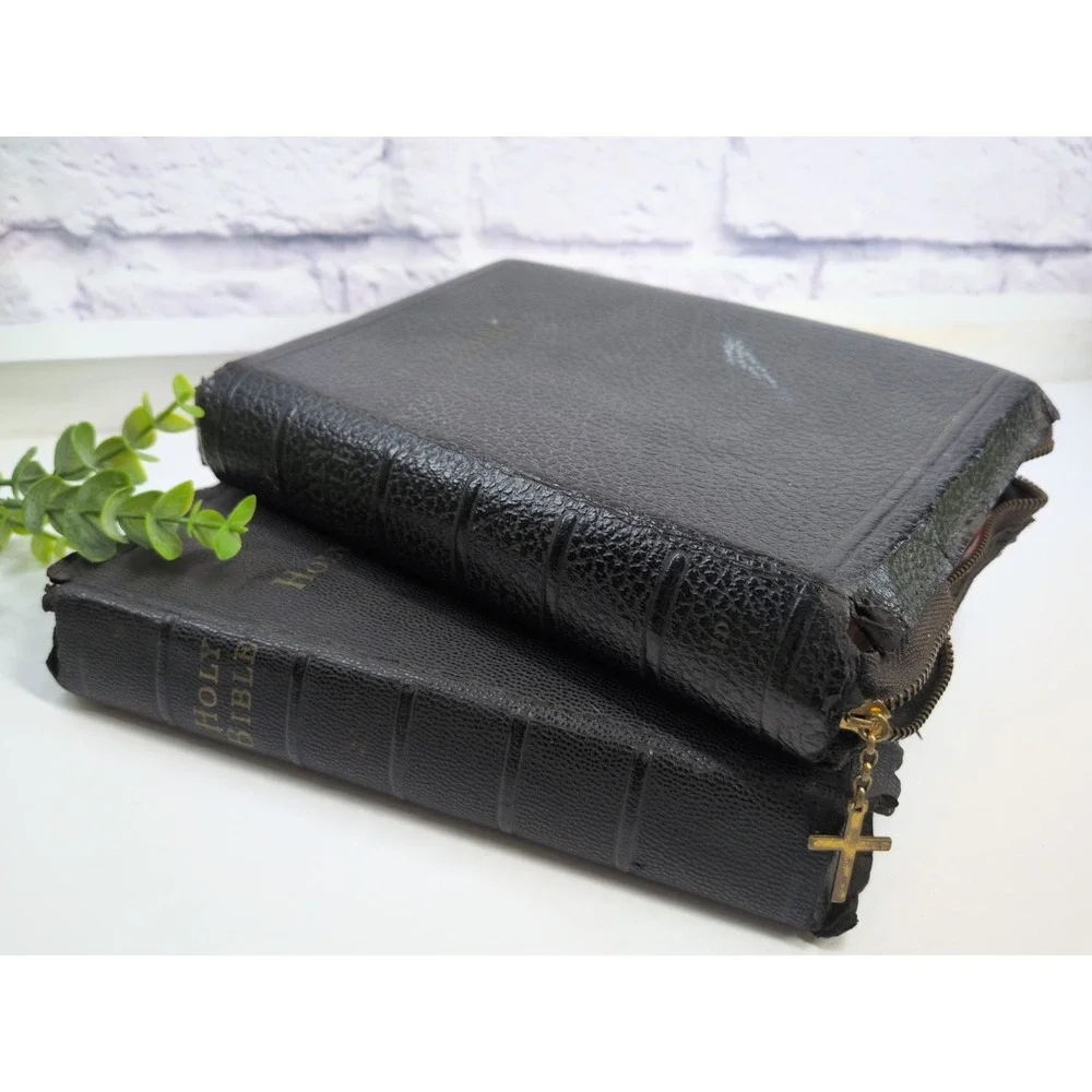 VNTG LOT 2 NEED TLC🚨Holy Bible KJV World Publishing Co. Illustrated -NO WRITING